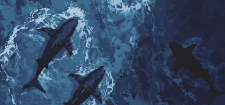 sea animals