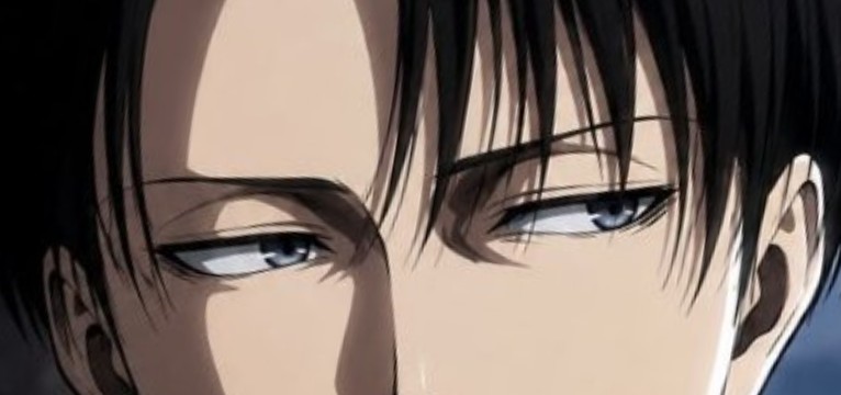 Levi ackerman AOT / Attack on titan