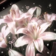 ✰*٭𝐿𝑖𝑙𝑦'𝑠 ٭*✰