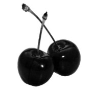 black cherry