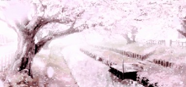 cherry clossom moving widget