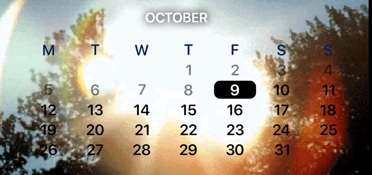 cortis