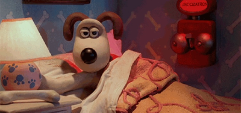 Gromit wake up