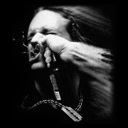 Pantera