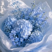 blue hydrangea