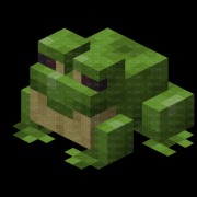 Minecraft Frog