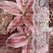 pink copy