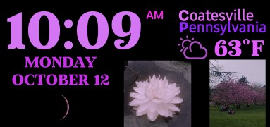 Home Screen widget copy copy copy copy