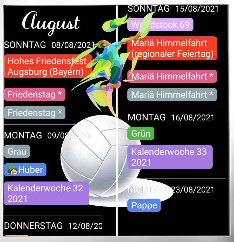  Termine  Volleyball 