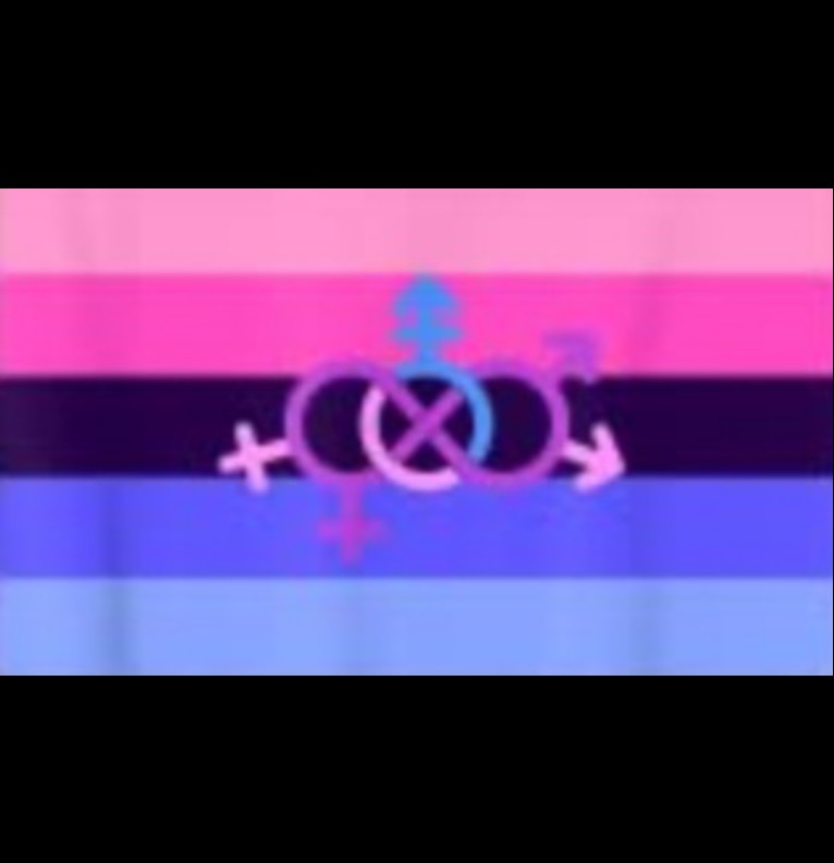 omnisexual pride flag 