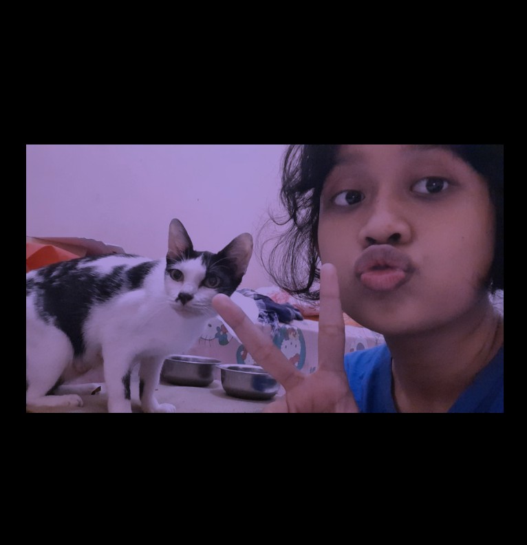 anak sapi 
