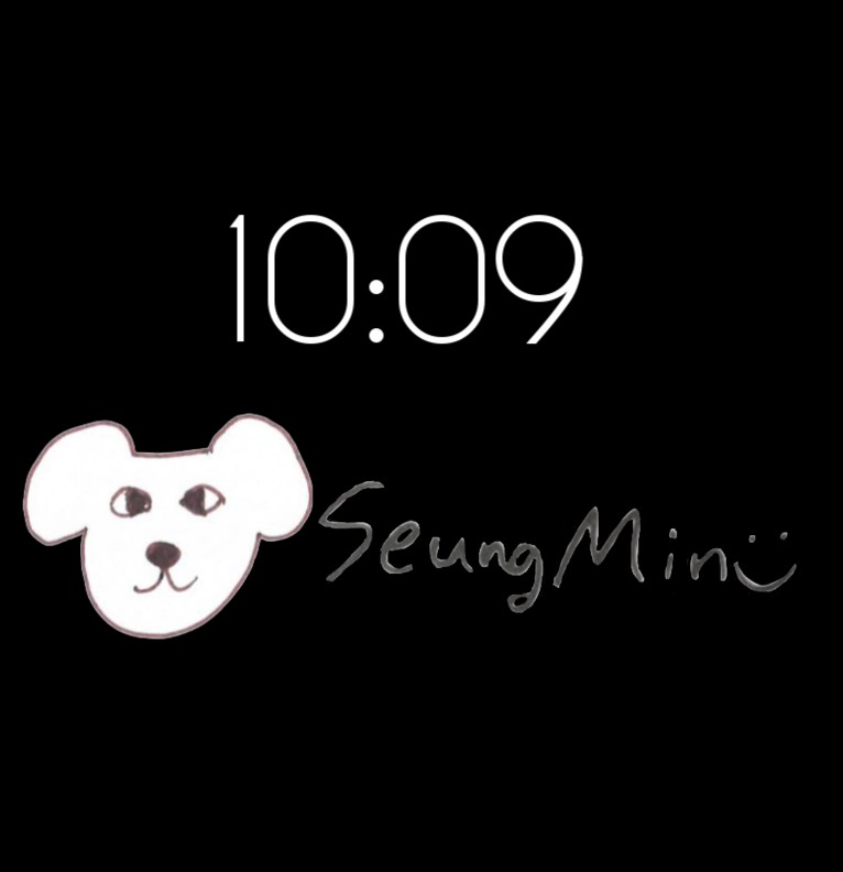 seungmin 