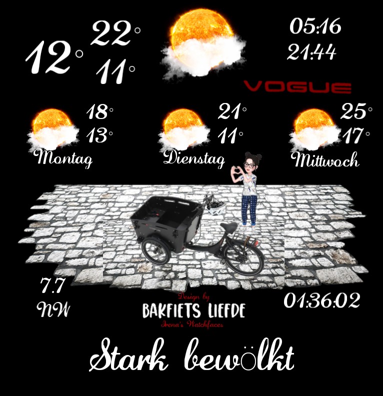 Wetter Werbe Bakfiets black 