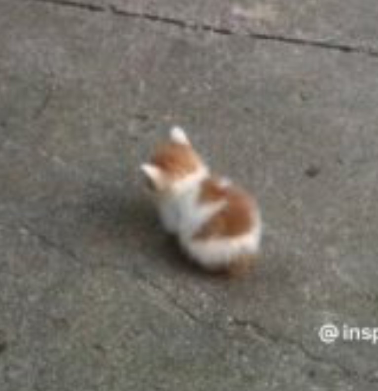 Cutesy