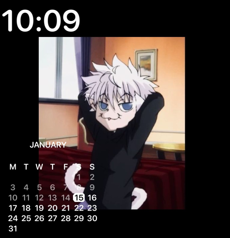 Cat killua