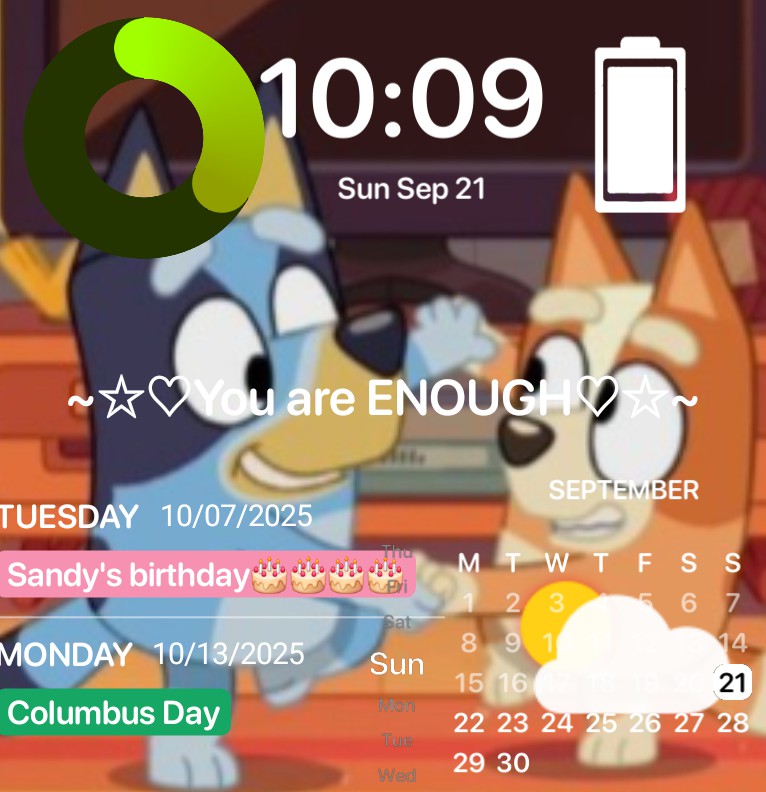 your bluey multi widget