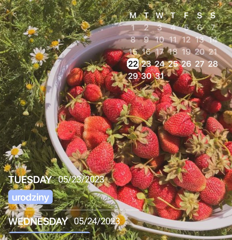 strawberry widget 5