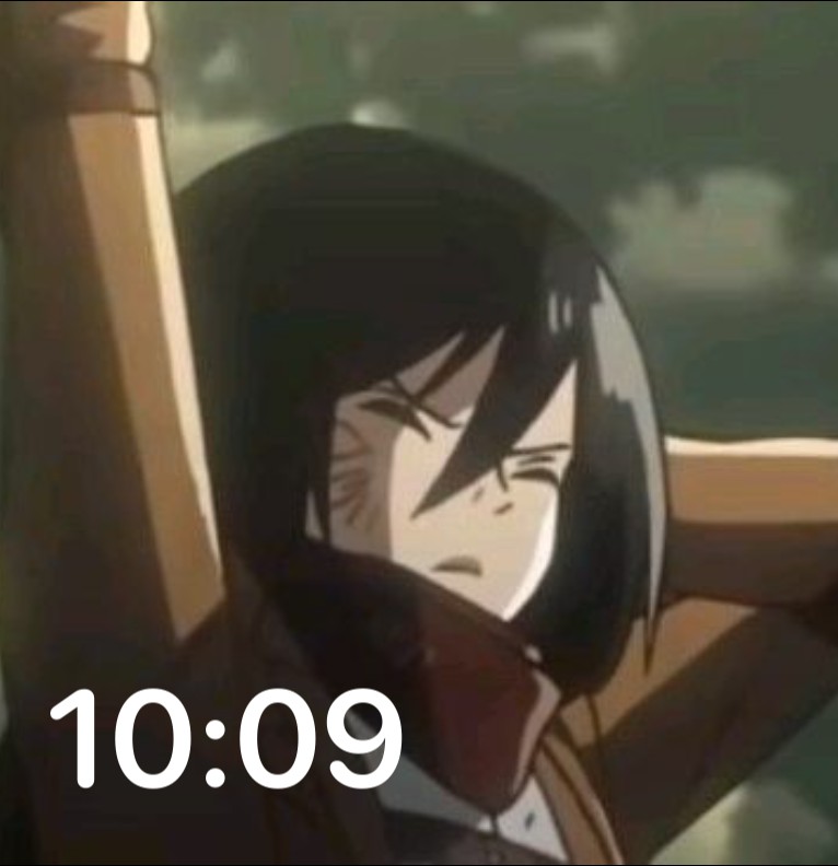 Mikasa SNK hours anime
