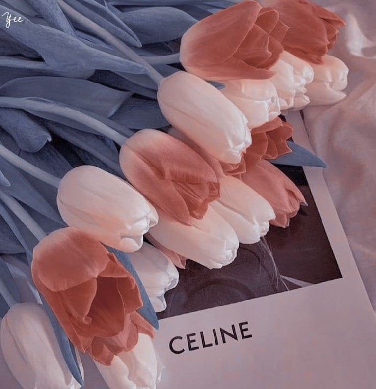 THEME 1 