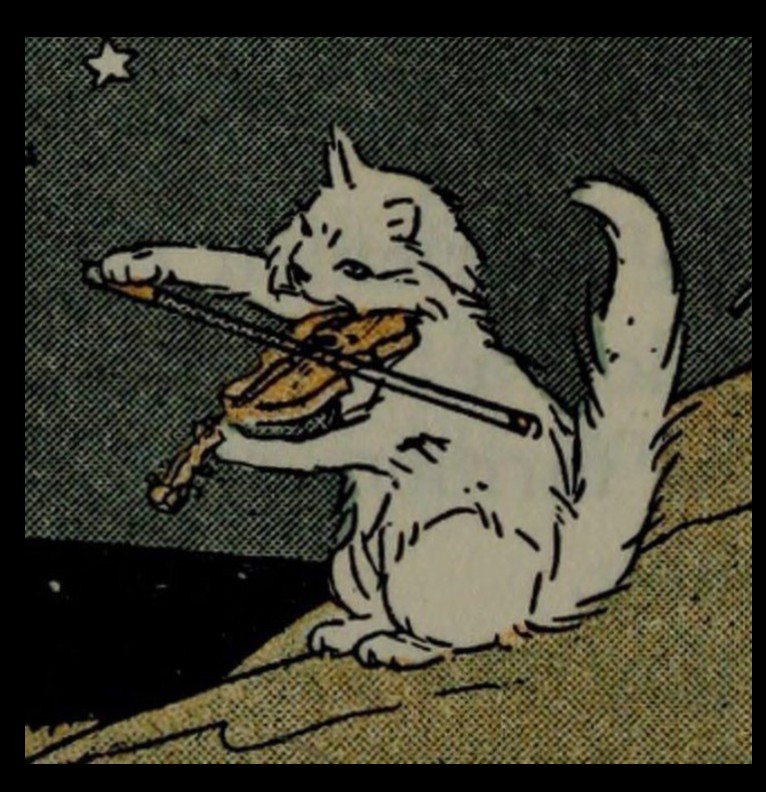 cat with violin