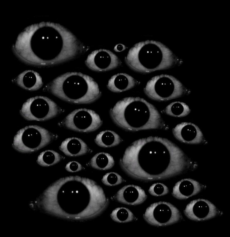 eyes