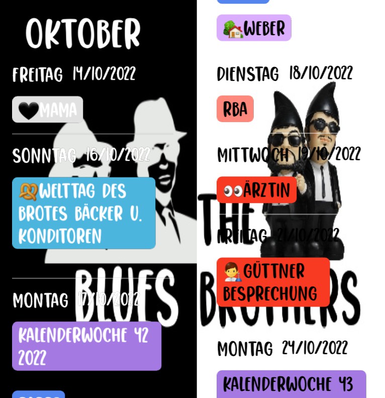 Agenda Blues Brothers 