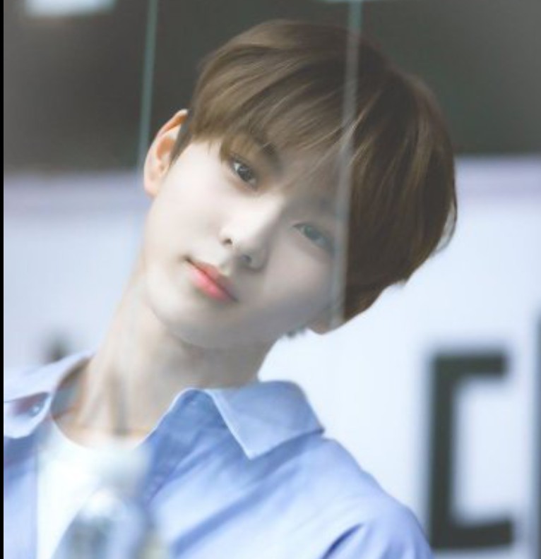 mr.yang