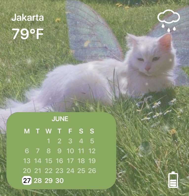 cat with calendar 