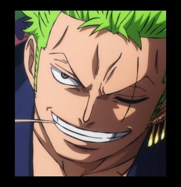 zoro roronoa