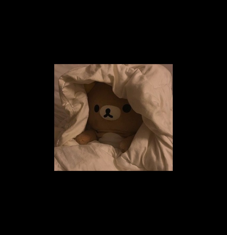 bear