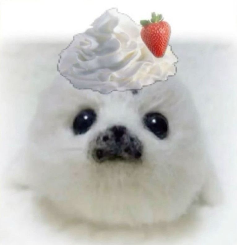 silly whipcream seal