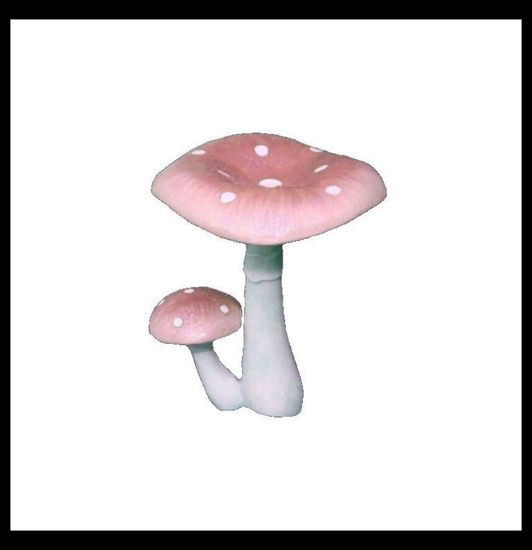 pink mushroom 
