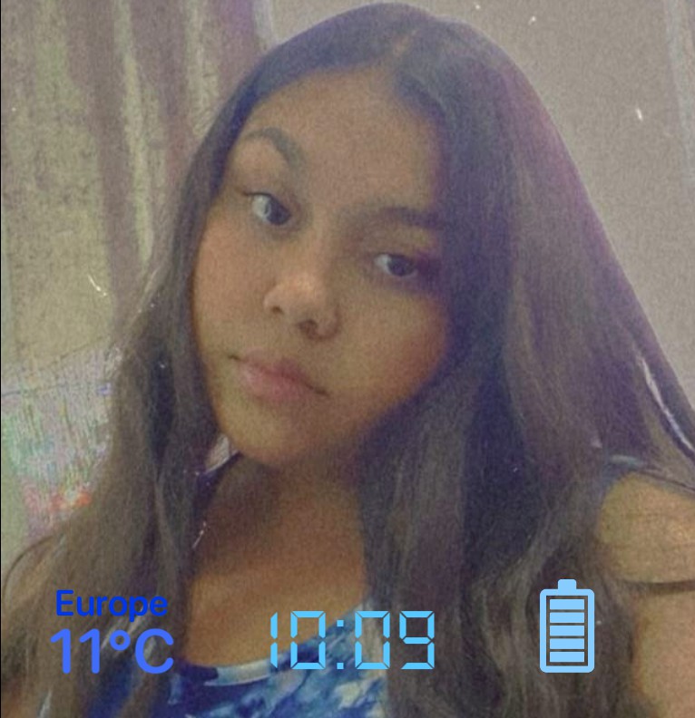 Vanesas widget