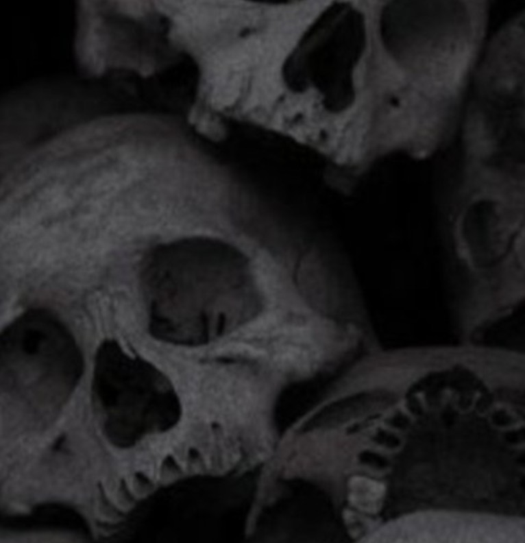 skulls