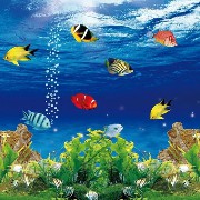  aquafis