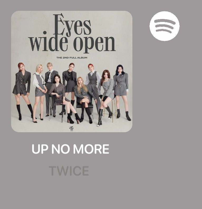 fake spotify
