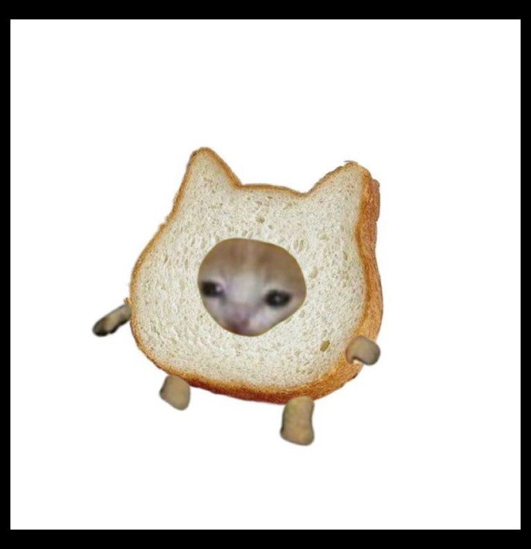 Cat Widget
