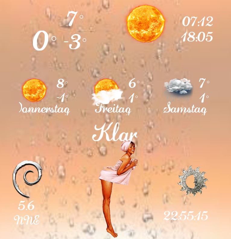 Wetter Shower Pin Up 