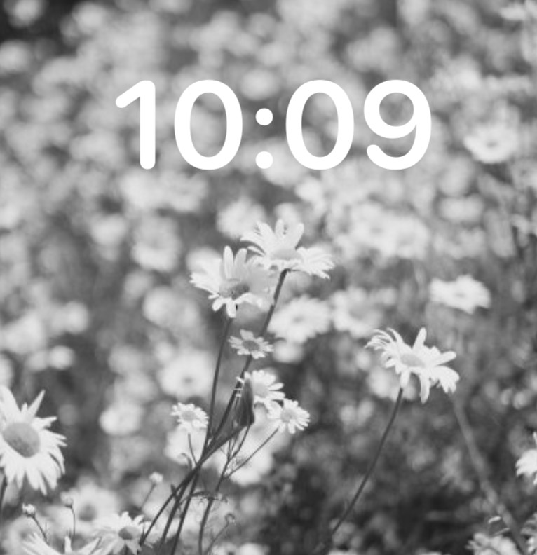 grey flowers
