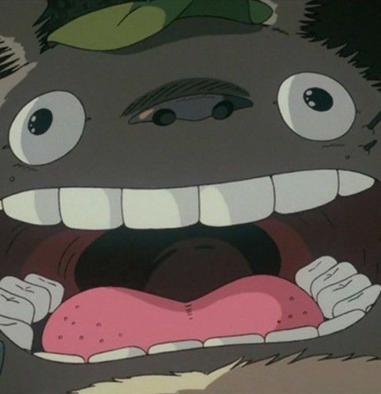 totoro