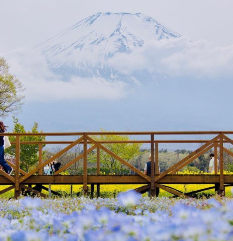 Japan nature