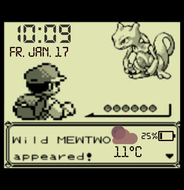 Pokemon Watch