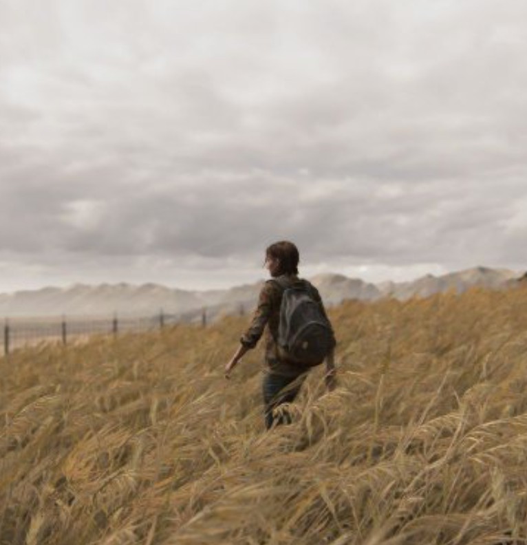 the last of us 2 ellie
