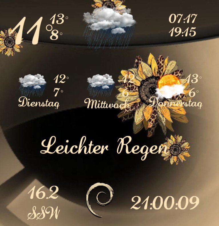 Wetter Autumn Sunflower 