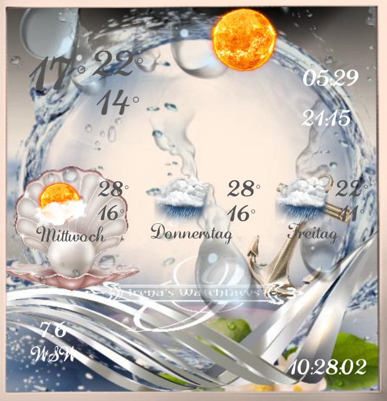 Wetter Seashell 