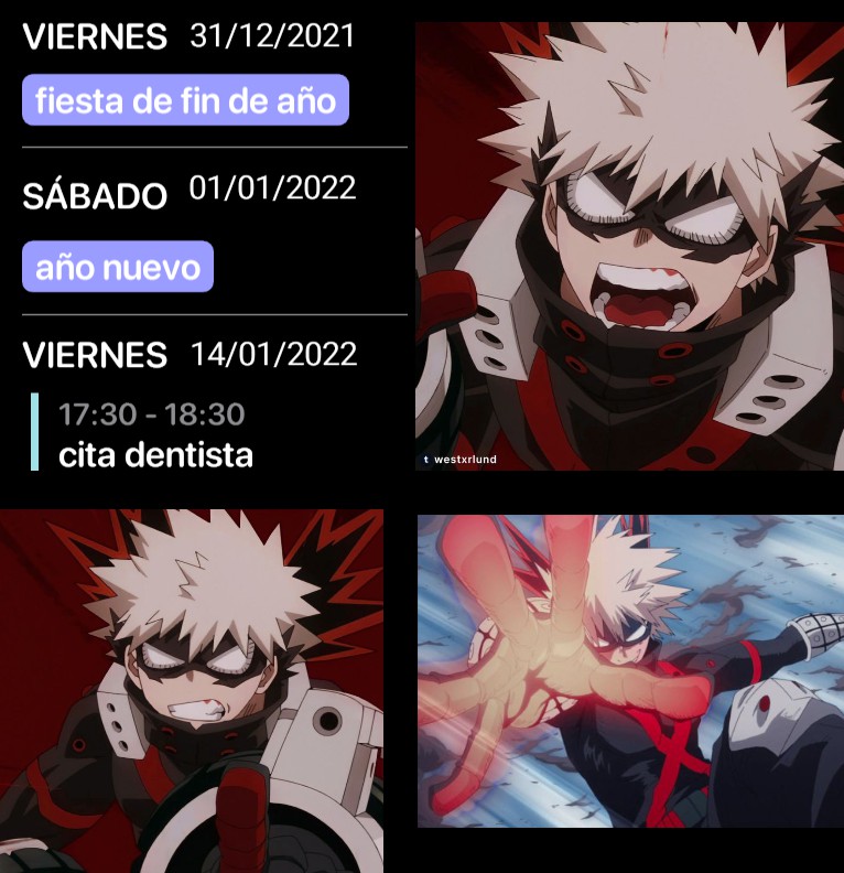 Bakugou Agenda