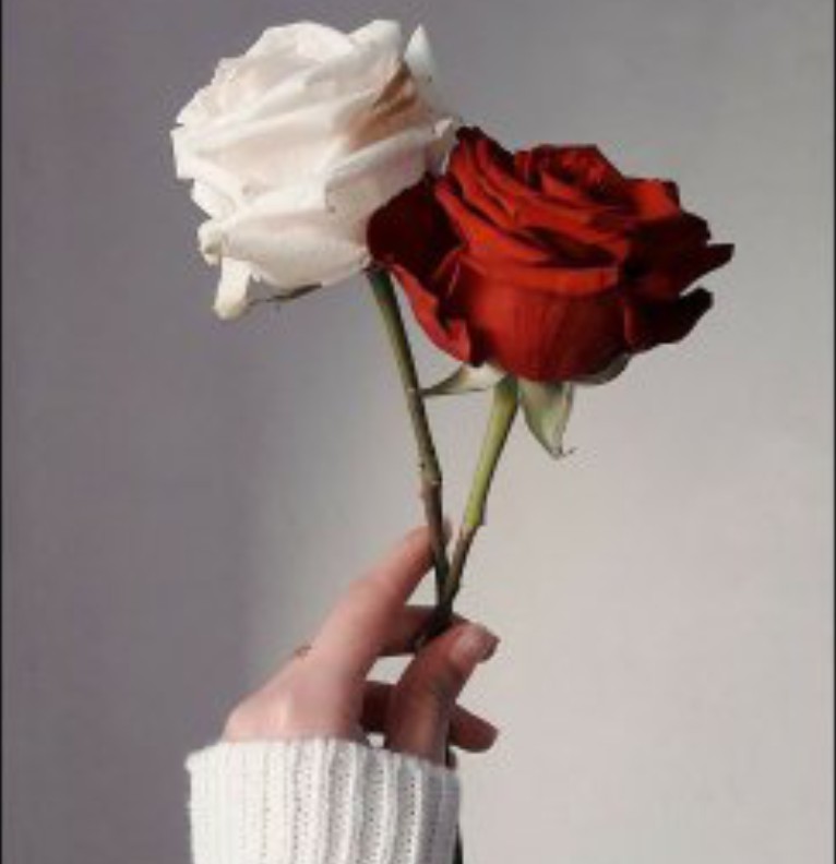 fleureee