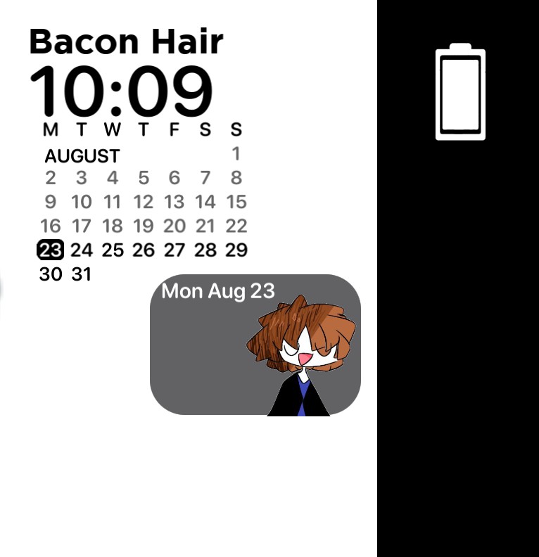 bacon widgets