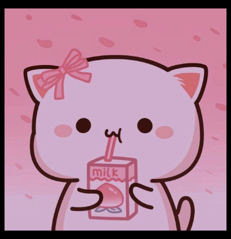 cute cat