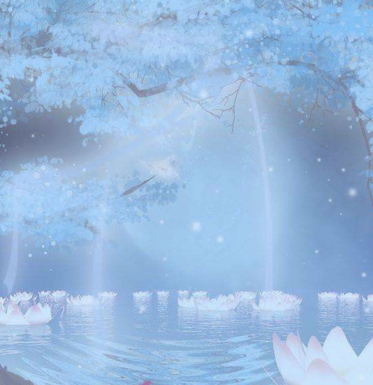 blue widget